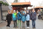 Exkurze Linec 2015