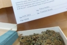 Obklopeni lišejníky 2016