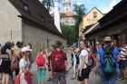 Z podzemního království do korun stromů