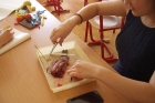 Pitva ryby aneb Zážitkový seminář z biologie