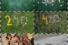 Distanční výuka rozvíjí fantazii a kreativitu